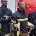 Un python a été découvert à bord d’un véhicule de transport