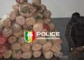 Saisie de 114 kilogrammes de chanvre indien et à l’interpellation d’un individu
