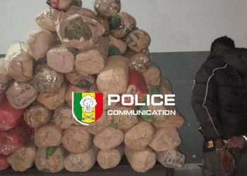 Saisie de 114 kilogrammes de chanvre indien et à l’interpellation d’un individu