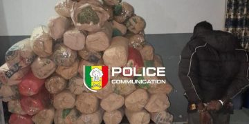 Saisie de 114 kilogrammes de chanvre indien et à l’interpellation d’un individu