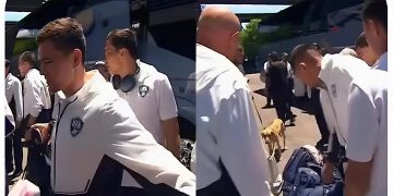 Opération de lutte contre la contrefaçon