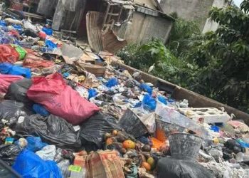 Salubrité urbaine