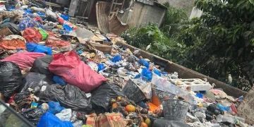 Salubrité urbaine