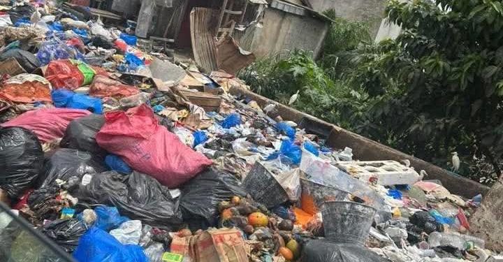 Salubrité urbaine
