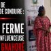 Dame Gnahoré se retrouve une nouvelle fois dans le viseur de la Direction Générale des Transports Terrestres et de la Circulation