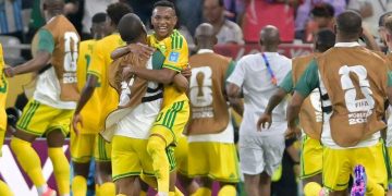 L'Afrique du Sud