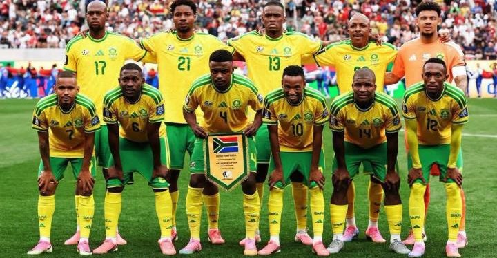 l’Afrique du Sud