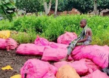 Côte d’Ivoire : 5 corps repêchés et 6 portés disparus dans le chavirement d’une pinasse à Liboli (Grand-Lahou)