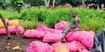 Côte d’Ivoire : 5 corps repêchés et 6 portés disparus dans le chavirement d’une pinasse à Liboli (Grand-Lahou)