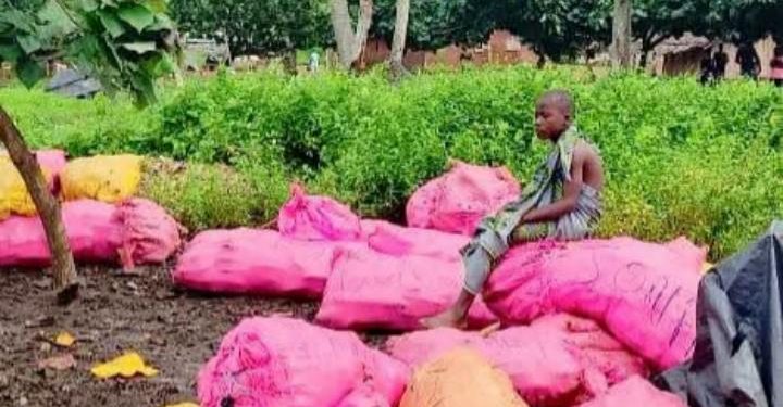 Côte d’Ivoire : 5 corps repêchés et 6 portés disparus dans le chavirement d’une pinasse à Liboli (Grand-Lahou)