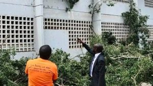 Dans la nuit du dimanche 12 au lundi 13 juillet 2026, un vieux et imposant arbre s’est déraciné avant de s’effondrer sur un bâtiment abritant des salles de classe
