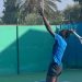 Tournoi de Tennis