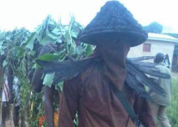 300 jeunes initiés du bois sacré